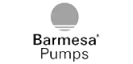 logo barmesa